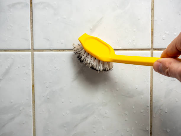 Best Mold Removal Company Near Me  in Premont, TX