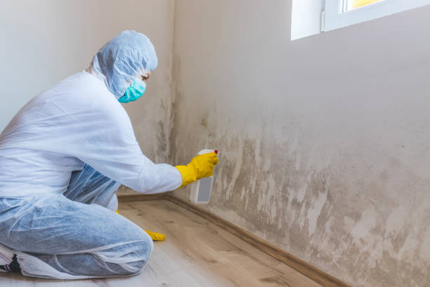Best Mold Removal Process  in Premont, TX