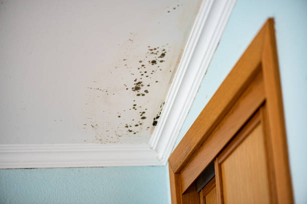 Water Damage Restoration in Premont, TX