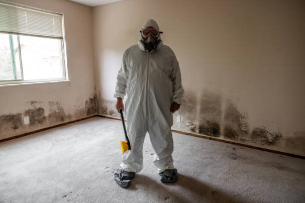 Mold Removal and Inspection in Premont, TX